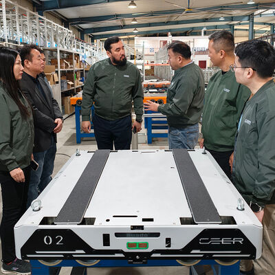 4차원 라디오 셔틀 차 4차원 셔틀 팔레트 ASRS 자동 저장 및 검색 시스템 팔레트 러너 래킹