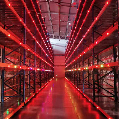 자동차 부품 2.5T 로드 가이드 레일과 함께 전기 이동 래킹